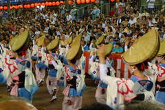 阿波踊り2009